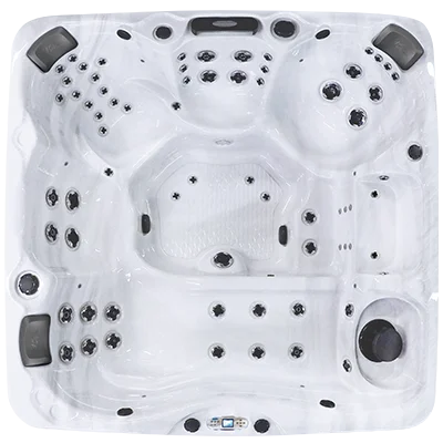 Avalon EC-867L hot tubs for sale in Taunton